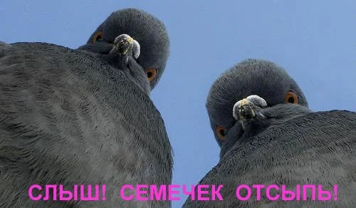 C__Data_Users_DefApps_AppData_INTERNETEXPLORER_Temp_Saved Images_x_5a14dfec79.webp