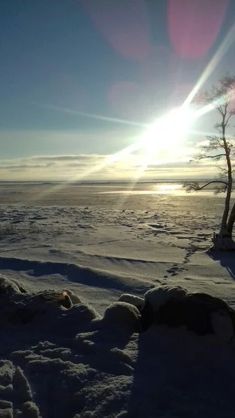 C__Data_Users_DefApps_AppData_INTERNETEXPLORER_Temp_Saved Images_Xb2CNZlwowU.webp