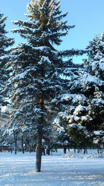 C__Data_Users_DefApps_AppData_INTERNETEXPLORER_Temp_Saved Images_xvHdGAYTJWE.webp