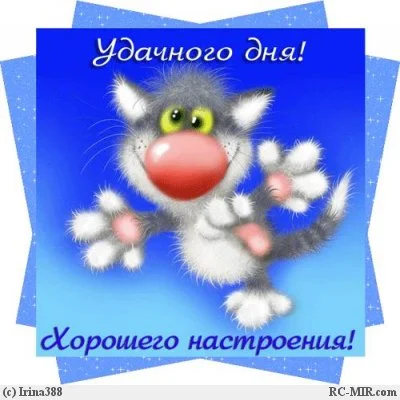 ca897cfe6863.webp