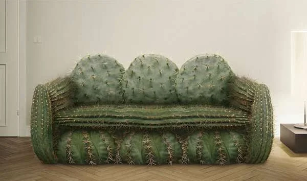 cactus-sofa.webp