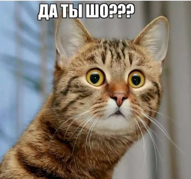 CamScanner 12-01-2022 13.07.webp