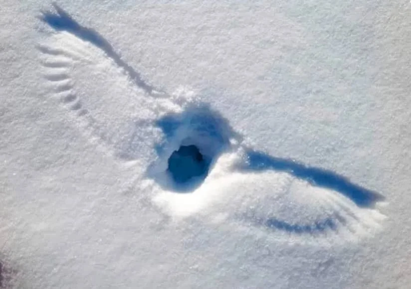 CamScanner 20-01-2022 20.08.jpg