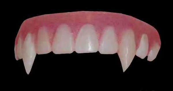 canine_veneer_fangs_by_customfangs.webp