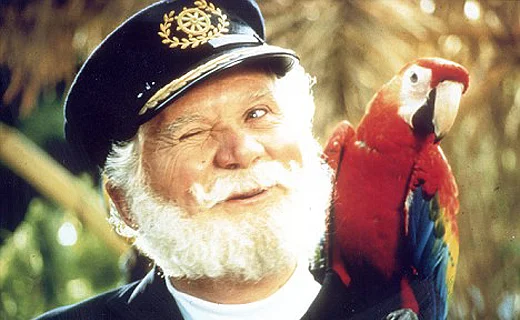 captain-birdseye.webp