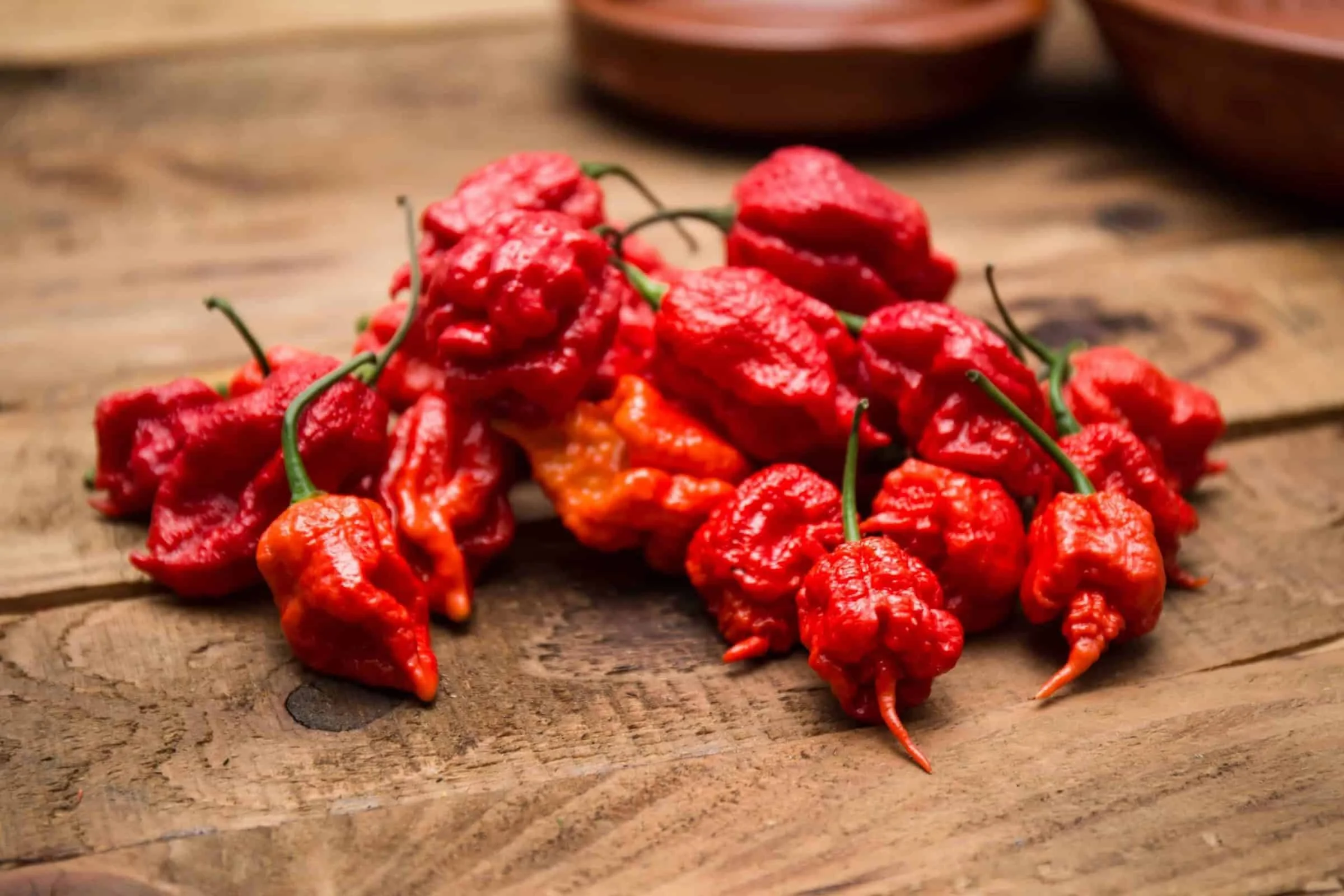 carolina-reaper_westlandpeppers-1.webp