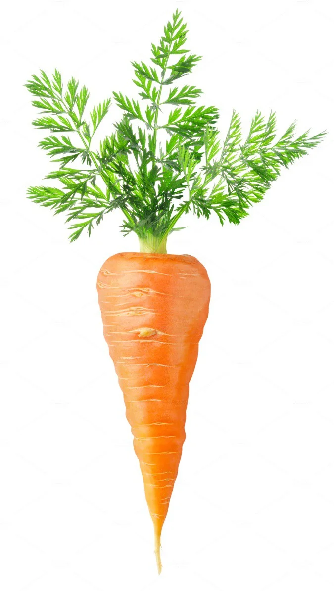 carrot.webp