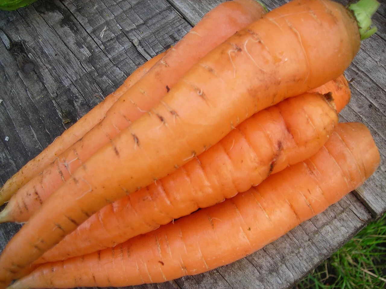 Carrots.webp