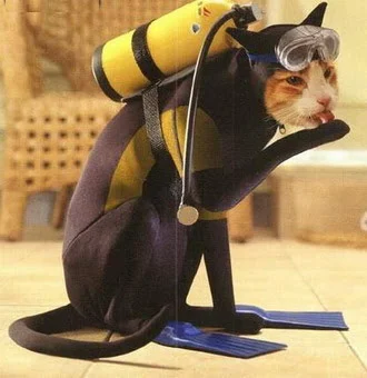 cat%20in%20scuba%20suit.webp