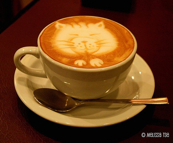 Cat-Coffee-Art-Caturday-1.jpg