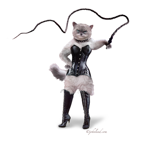 Cat-Dominatrix-White.jpg