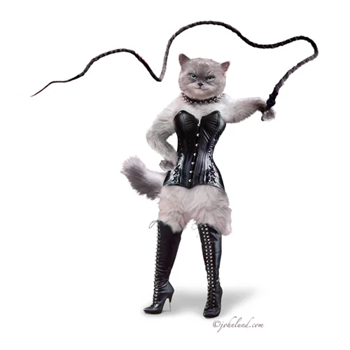 Cat-Dominatrix-White.webp