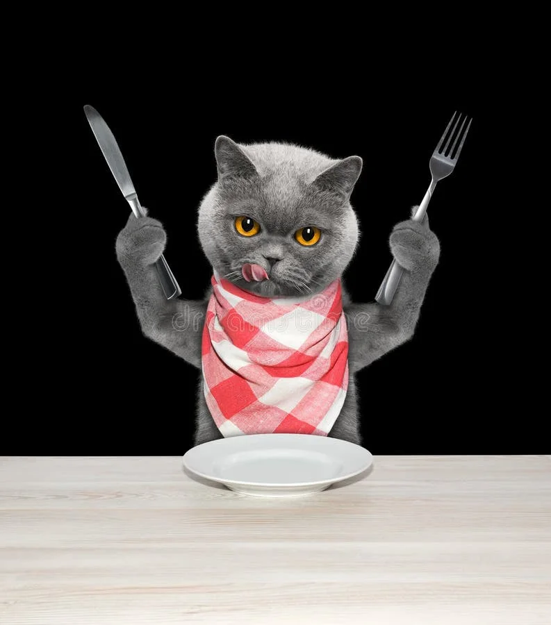 cat-finished-to-eat-hold-knife-fork-isolated-black-72985770.webp