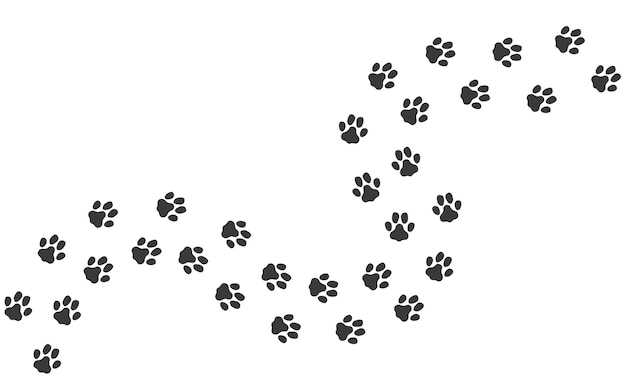 cat-footprints-path_53562-11316.jpg