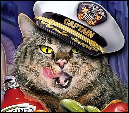 cat_cap.jpg