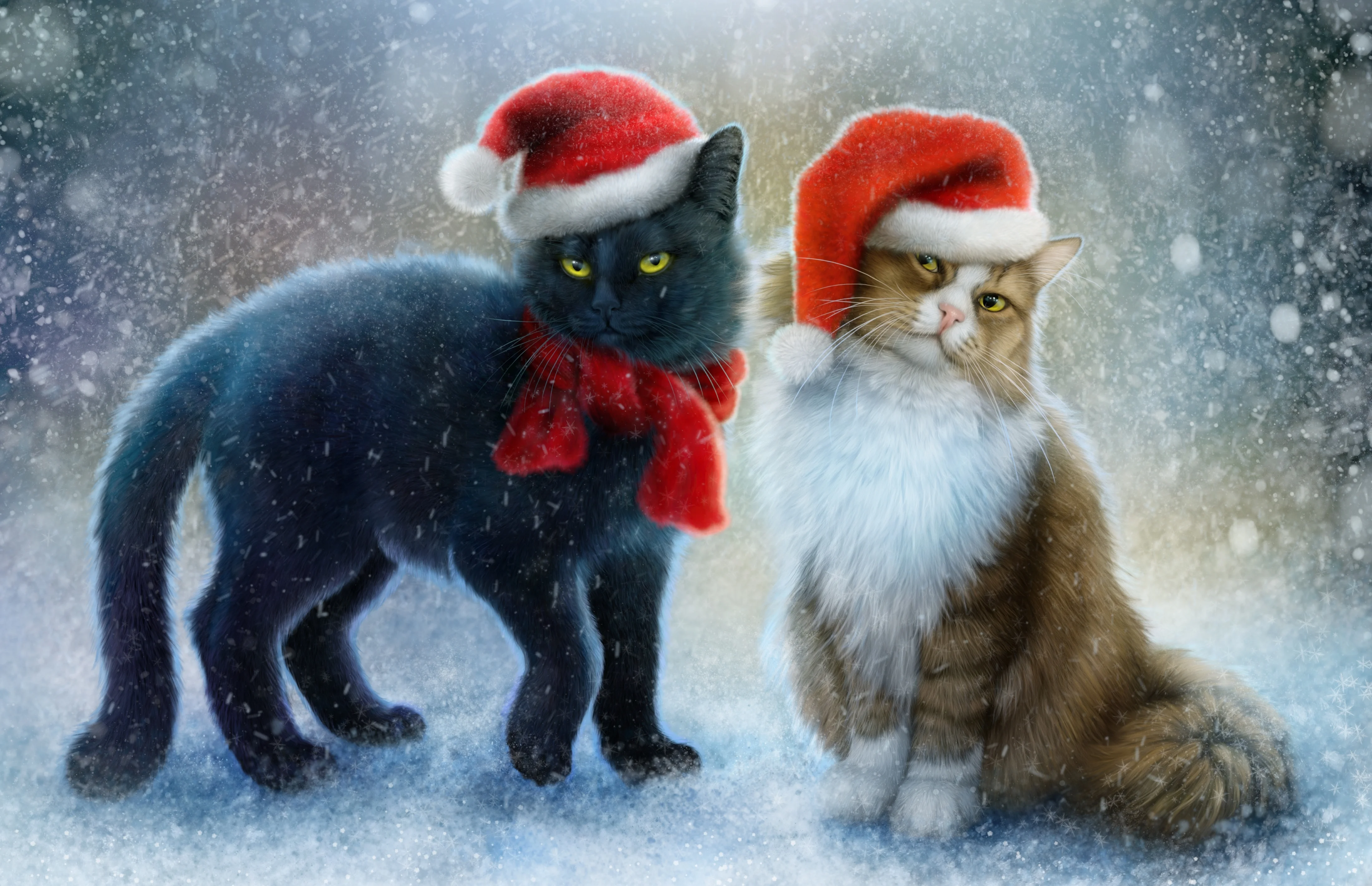 Cats_Christmas_Pictorial_465614.webp
