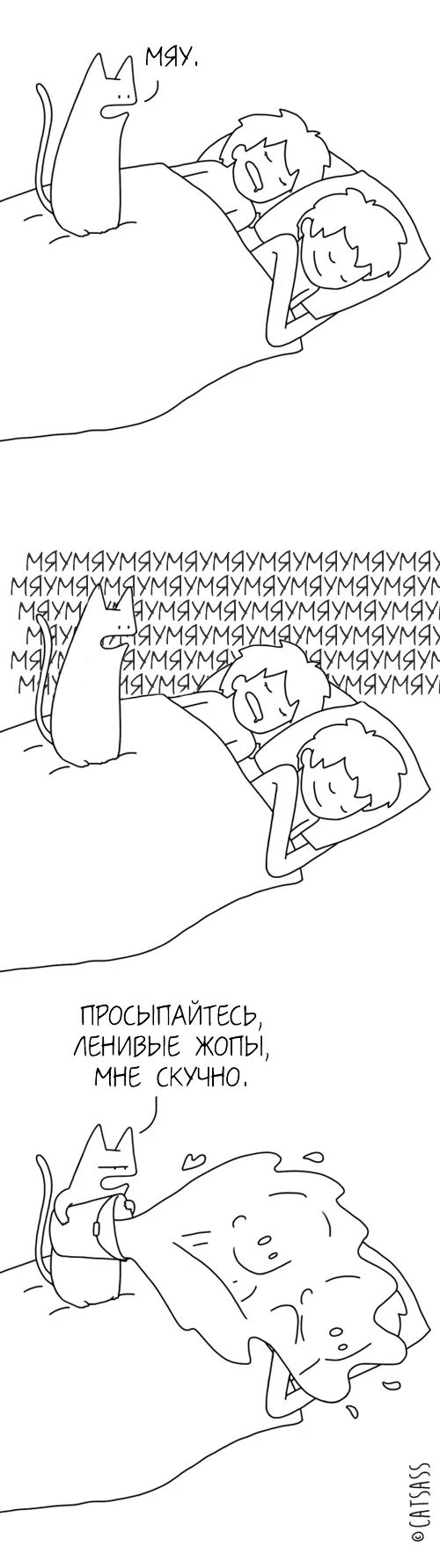 catsass-Комиксы-кошки-перевел-сам-2028808 (2).webp