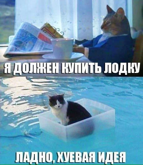 CB-jqE0UsAAjUGr.webp