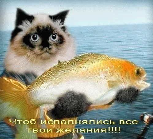 cCLBKZaq_iM.webp