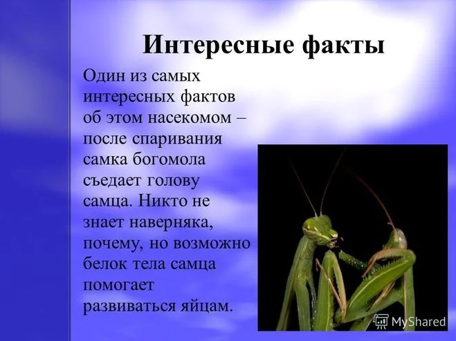 cd118070cbb787df180b294beb35b321.webp