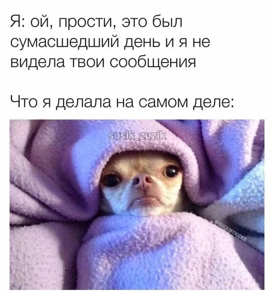 cd7924090b19c9890c88333f2aa6a71f (1).webp