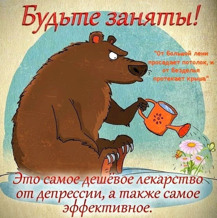 ce3f16f25d6b0676d36c49b7fd5a1448.webp