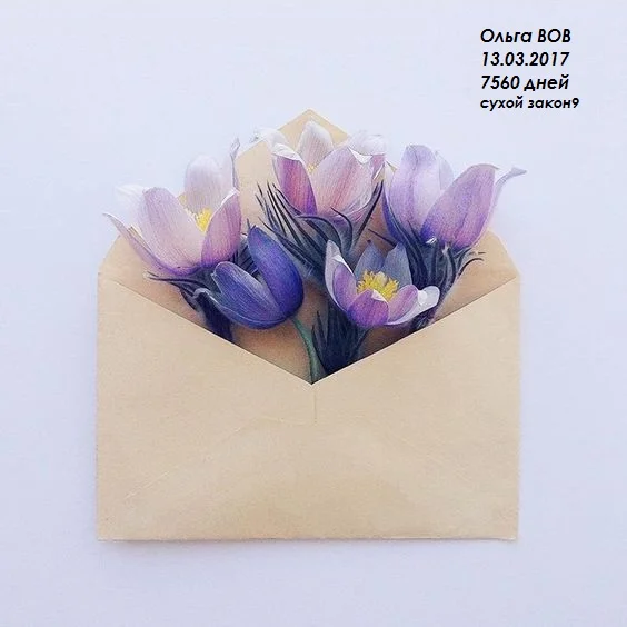 cfa1bc1fa077ee9fcbbefaafe1c1d650 - копия.webp