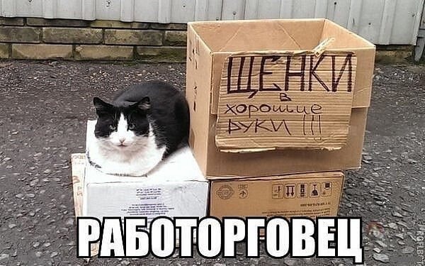 CFABC313-50DD-4293-B2AF-1391CE2F9FF5.jpeg