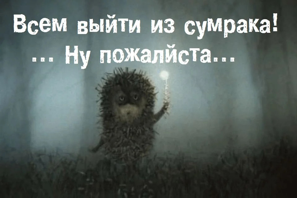 CgAAAgOY0OA-960.webp