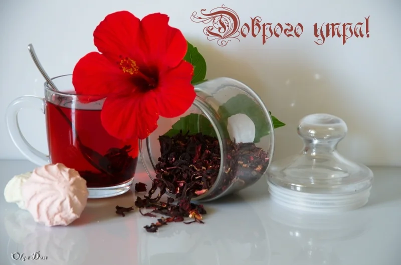 Чай каркаде доброе утро.webp