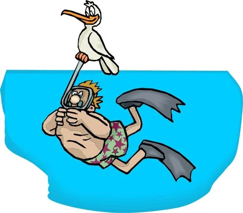 чайка прикол 2.webp