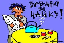 чайка заварю.webp