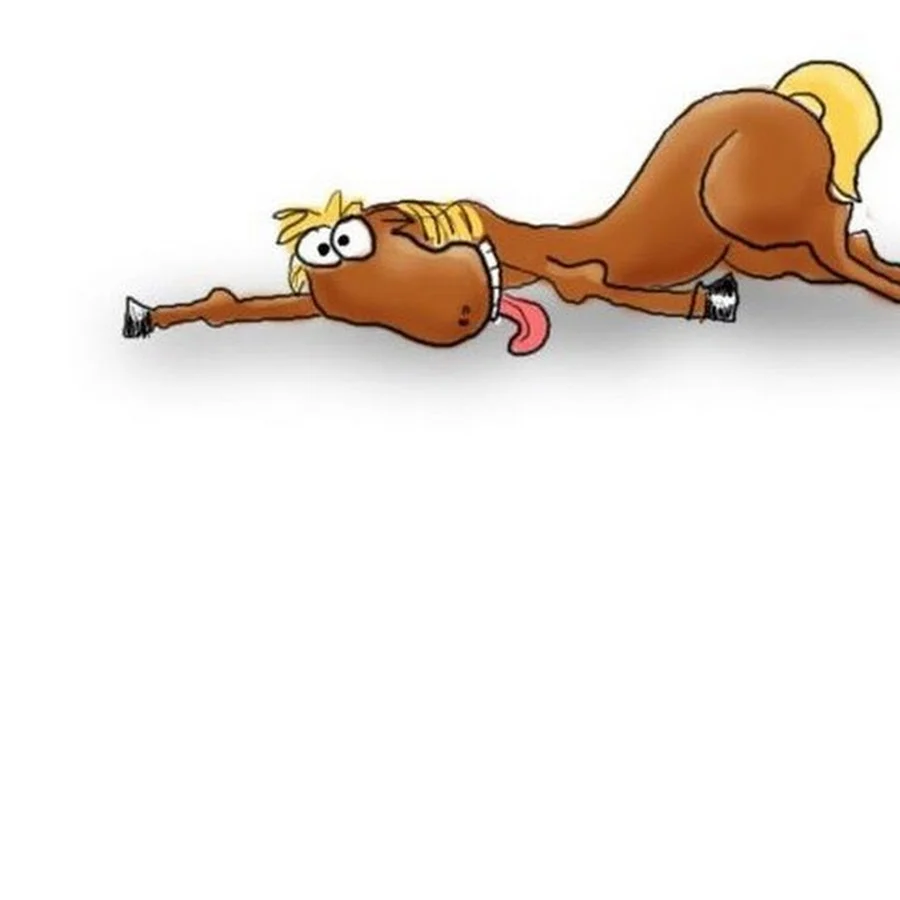 channels4_profile (1).webp