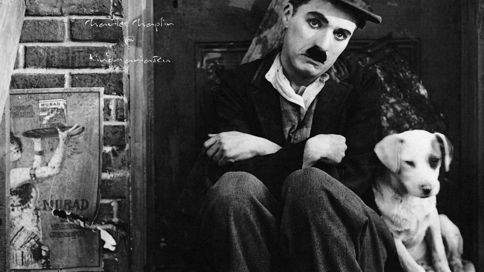 chaplin_600.webp