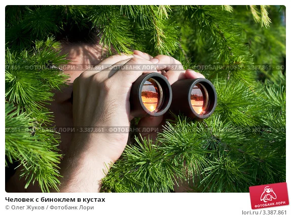 chelovek-s-binoklem-v-kustah-0003387861-preview.webp