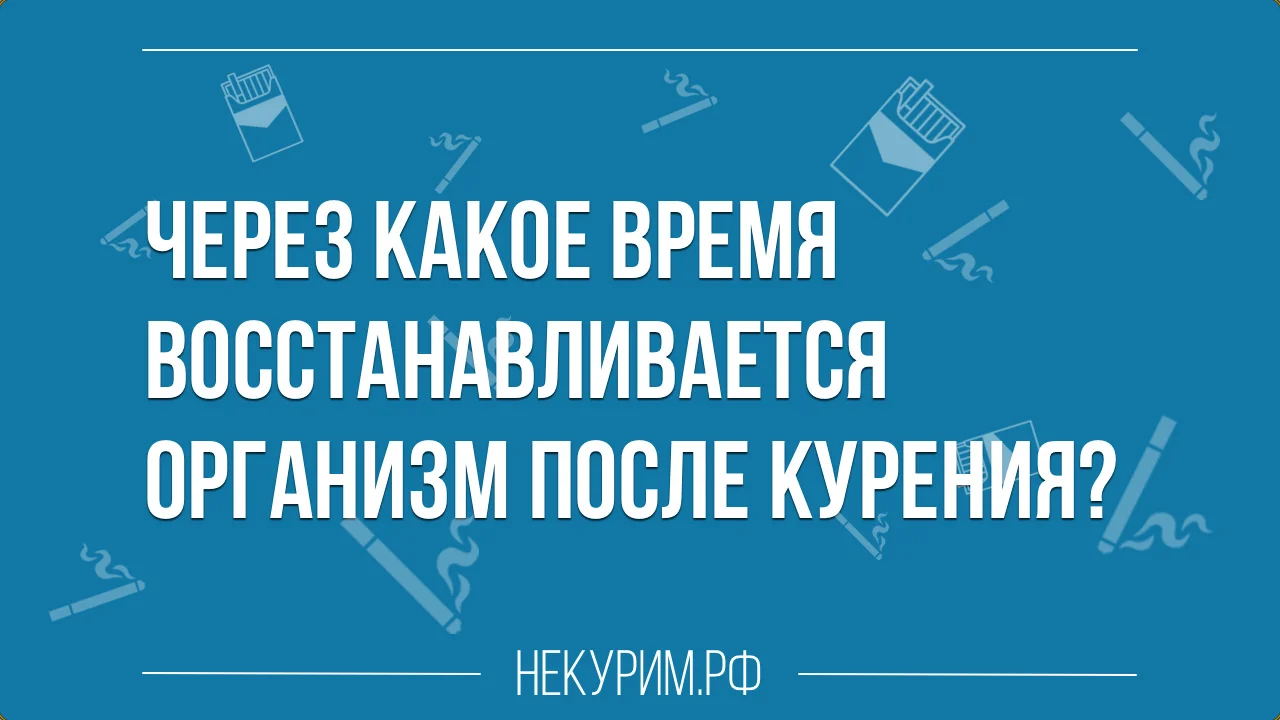 через какое время восстанавливается организм после курения.webp
