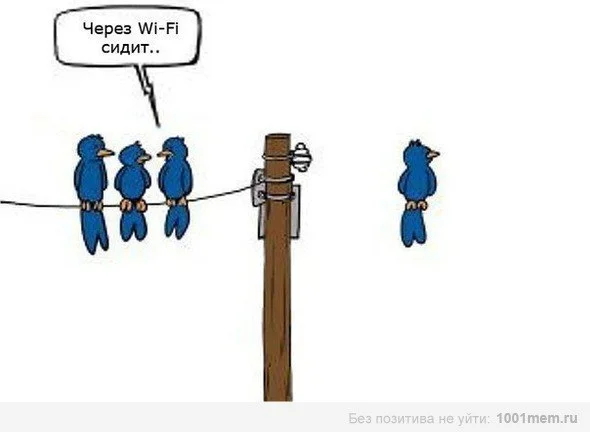 Через вай-фай.webp