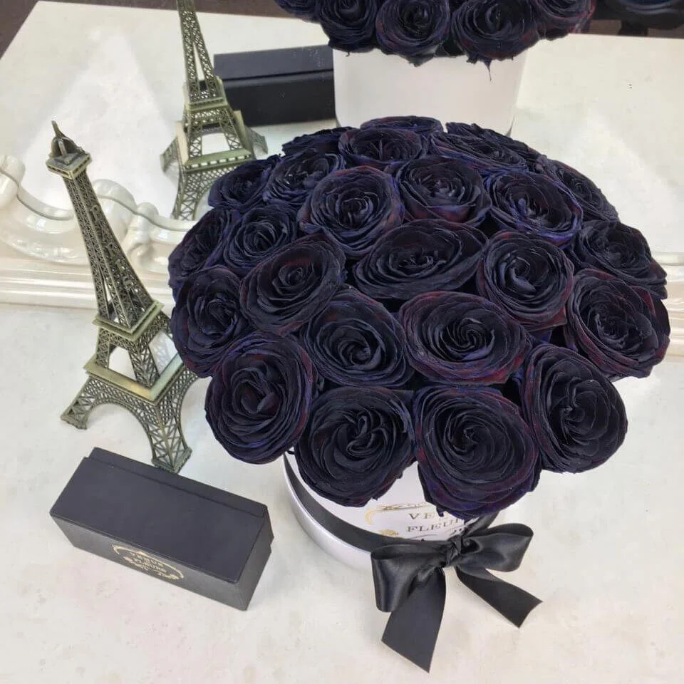 chernye-rozy-v-korobke.webp