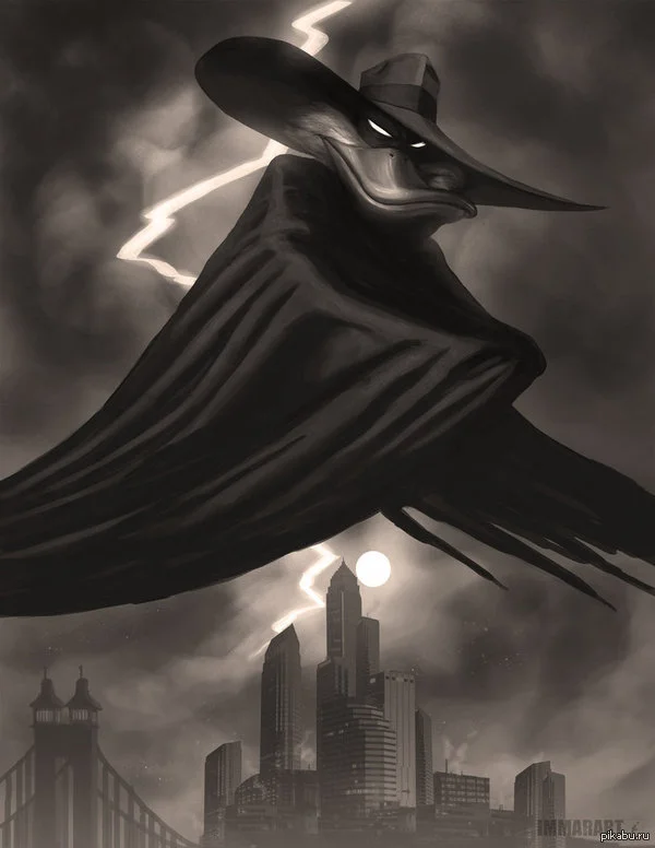 черный плащ.webp