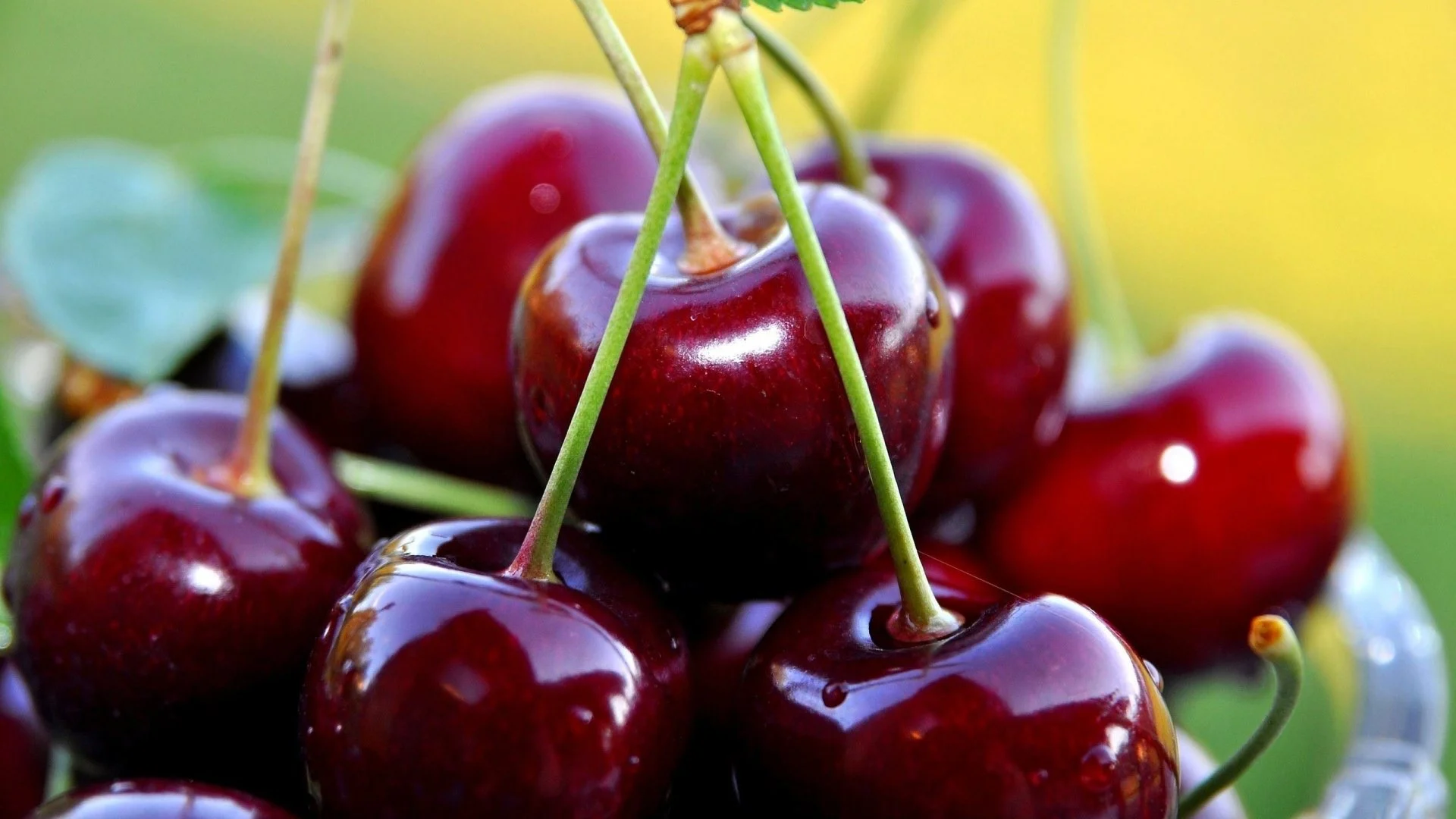 cherry-cool-fruit-image.webp
