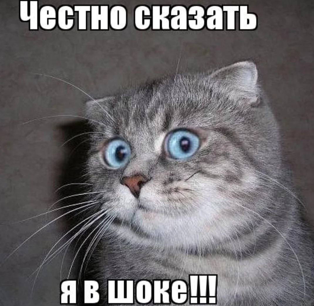 честно сказать я в шоке.webp