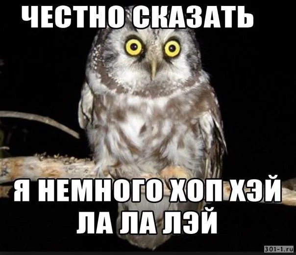 chestno_skazat_ya_nemnogo_hop_hey_lalaley.webp