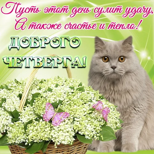 четверг 2.webp