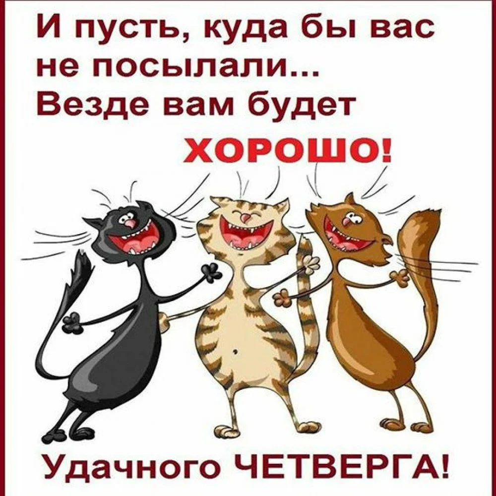 chetverg-kartinka-prikolnaya.webp