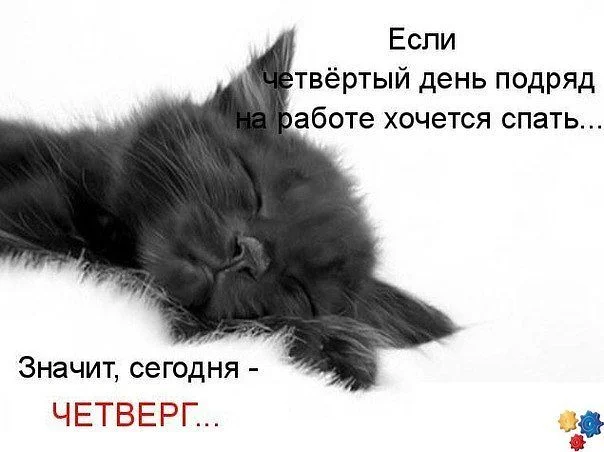 четверг3.webp