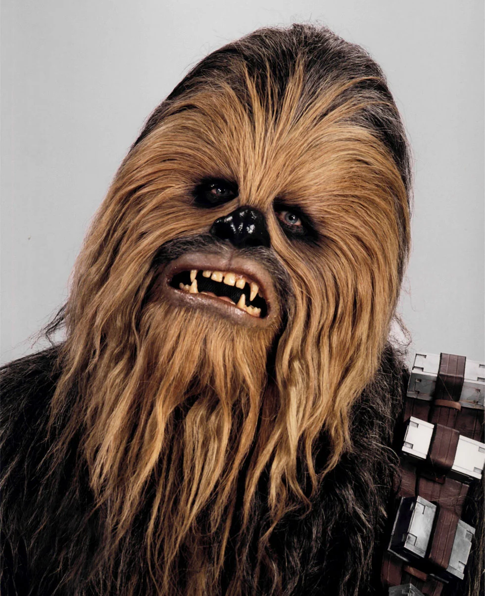 Chewbaccaheadshot.webp