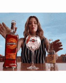 ChiefGentleKingfisher-max-1mb.gif