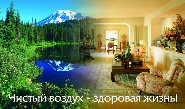 чистый воздух.webp