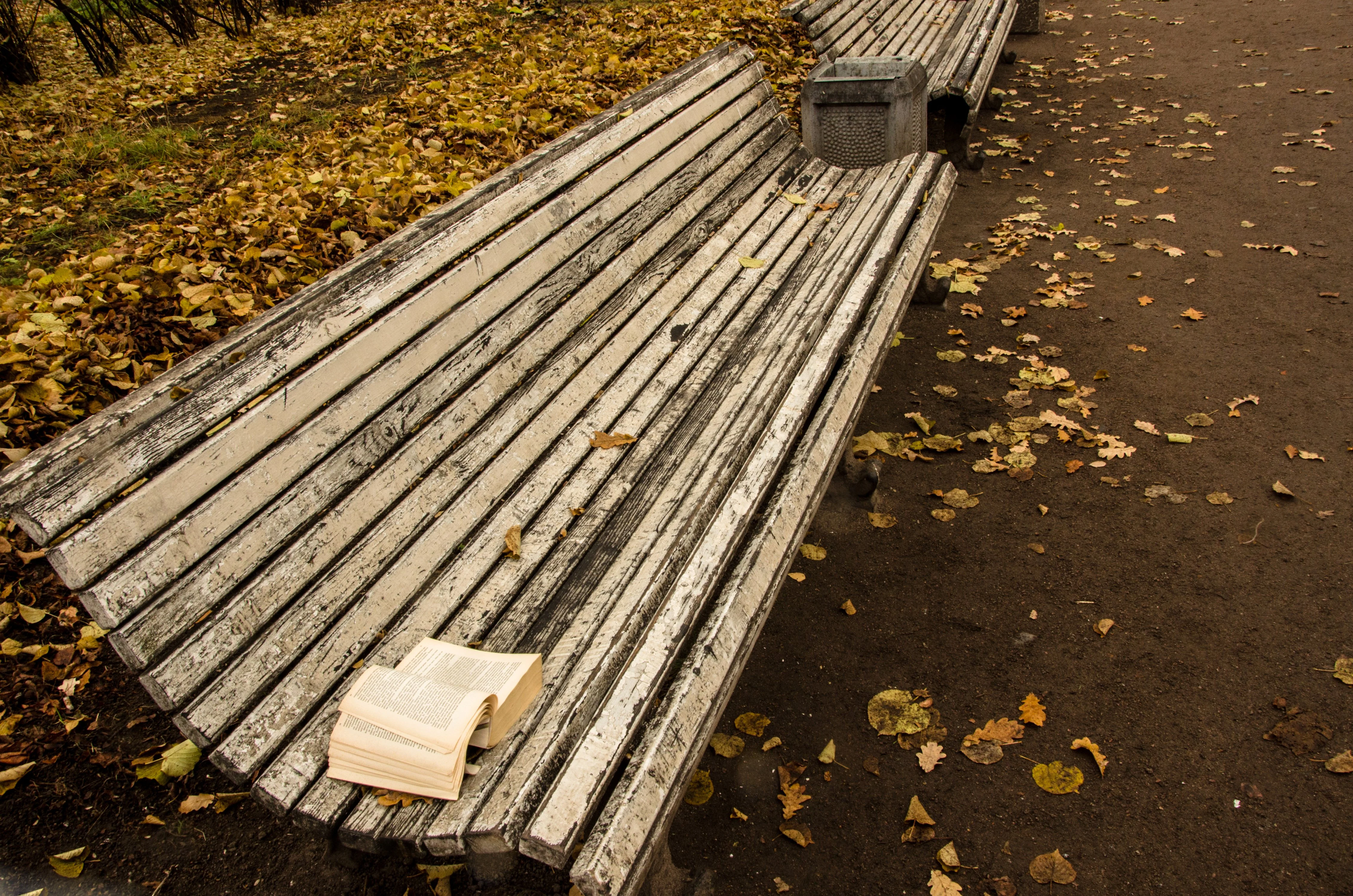 читаем книгу.webp