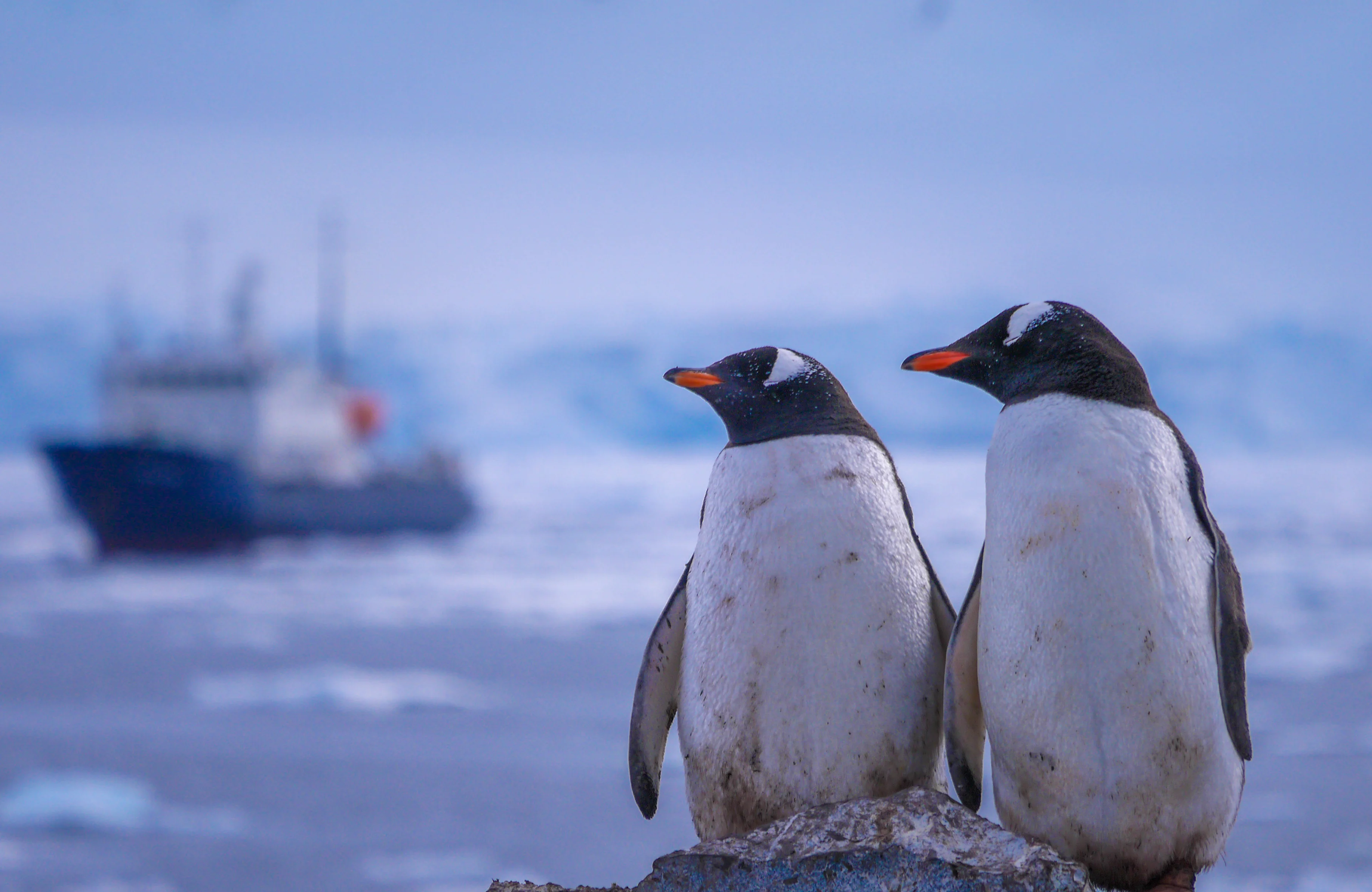 Chrissy's Photos-9.webp